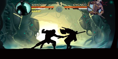 Shadow Fight 2