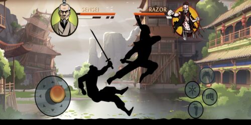 Shadow Fight 2